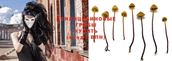 мяу мяу мука Алексеевка