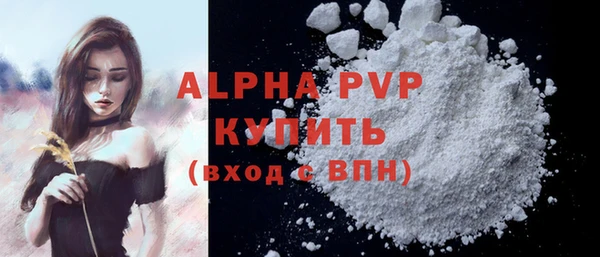 стаф Алексин
