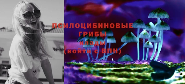 стаф Алексин