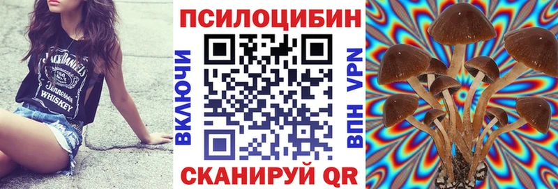 Псилоцибиновые грибы MAGIC MUSHROOMS  Махачкала 