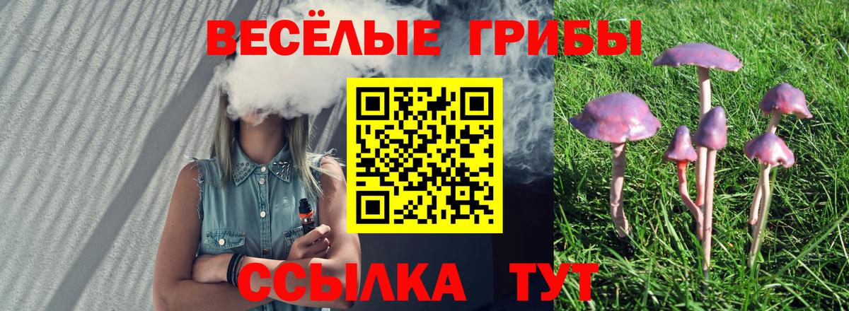 Галлюциногенные грибы Cubensis Махачкала