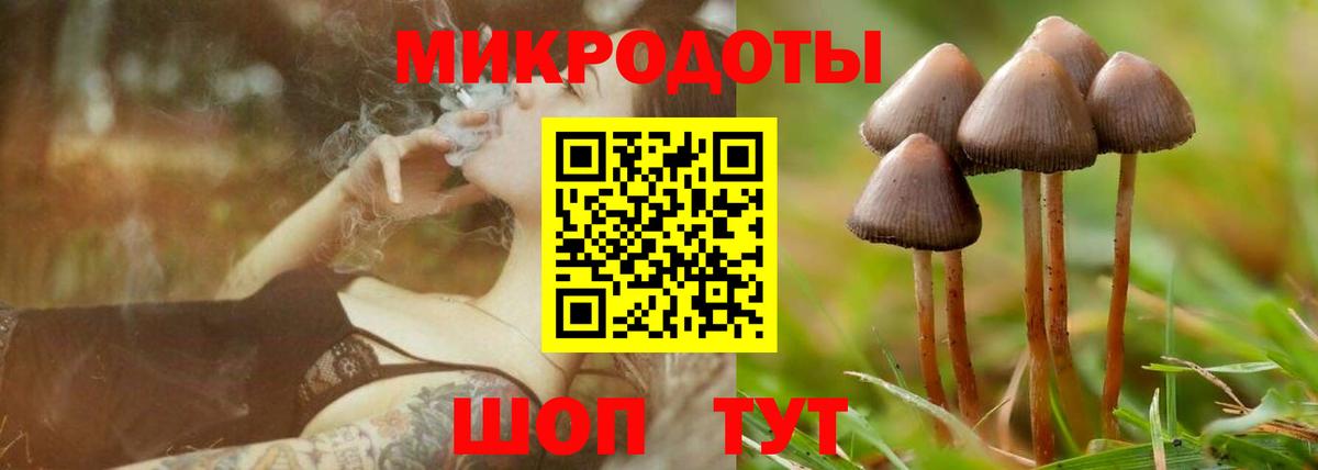 Галлюциногенные грибы ЛСД  Вход с VPN  Махачкала  Псилоцибиновые грибы GOLDEN TEACHER 